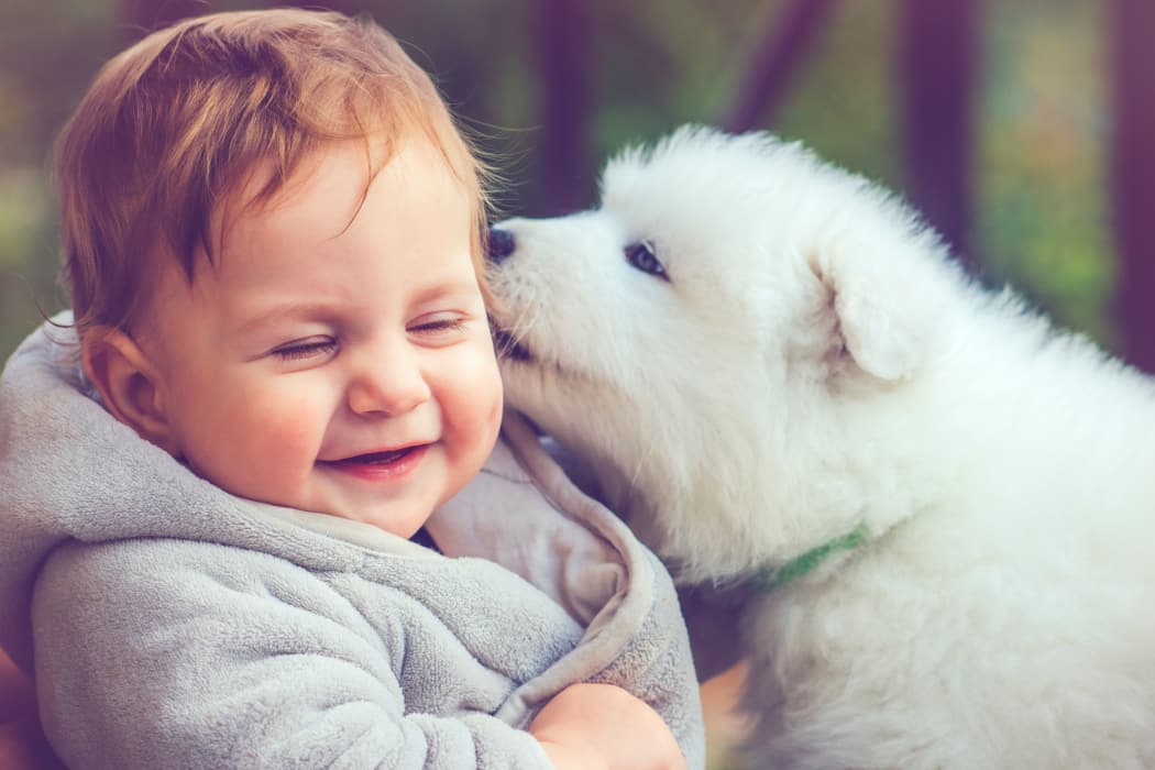 Puppy licking baby's face at Tuscana Bay Apartments in Corpus Christi, Texas