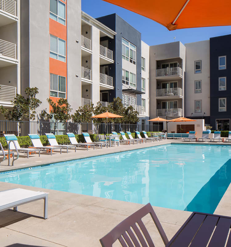 Resort-style swimming pool on a gorgeous day at Sofi Warner Center in Woodland Hills, California