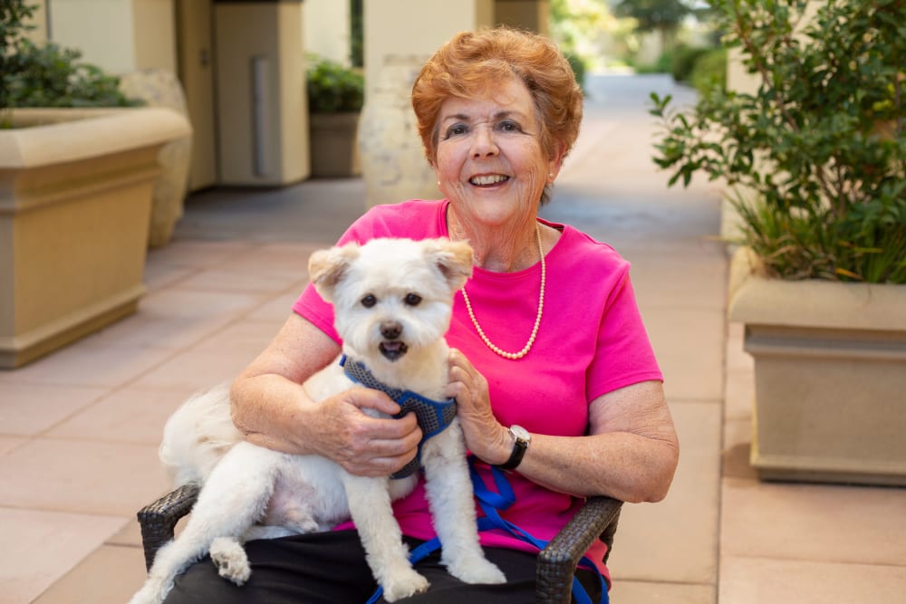 Resident with dog at Merrill Gardens at Brentwood in Brentwood, California