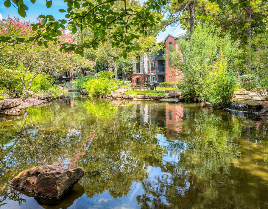 Pond at Alexander in Spring, Texas