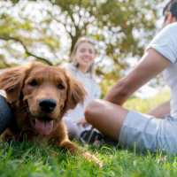 Resident with his dog at Parkwood Square in Arlington, Texas