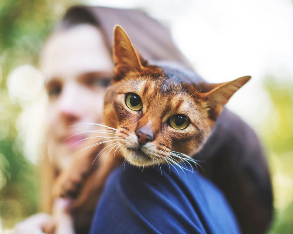 Resident taking a stroll with her cat on her shoulders at one of the green spaces near Olympus Solaire in Albuquerque, New Mexico