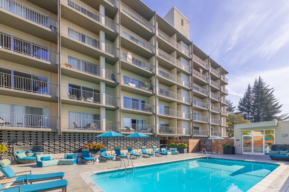 Luxury swimming pool at Mia in Palo Alto, California