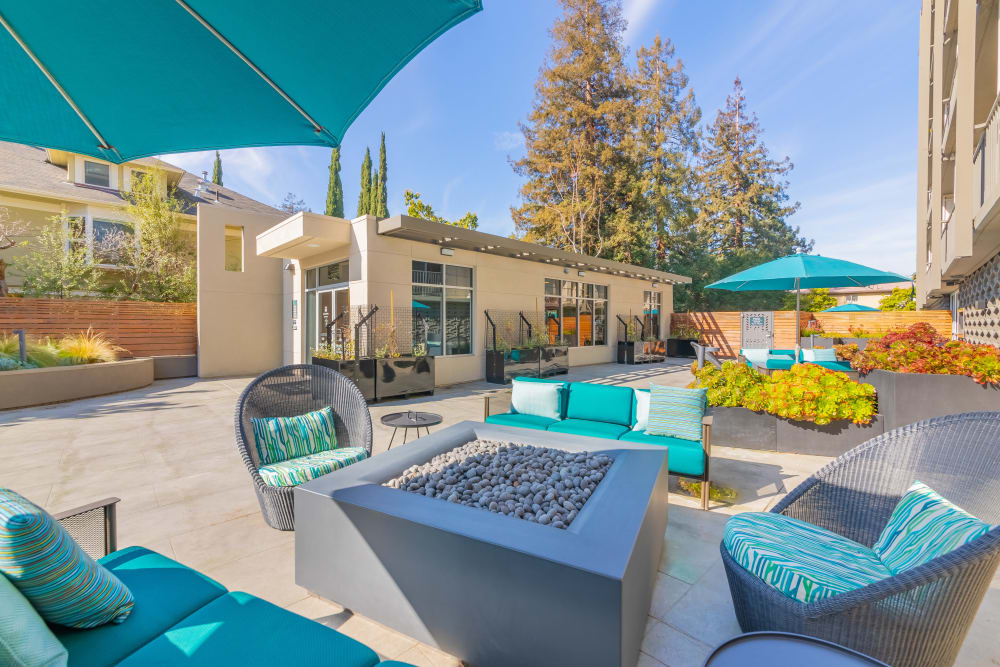 Community, outdoor fireplace at Mia in Palo Alto, California