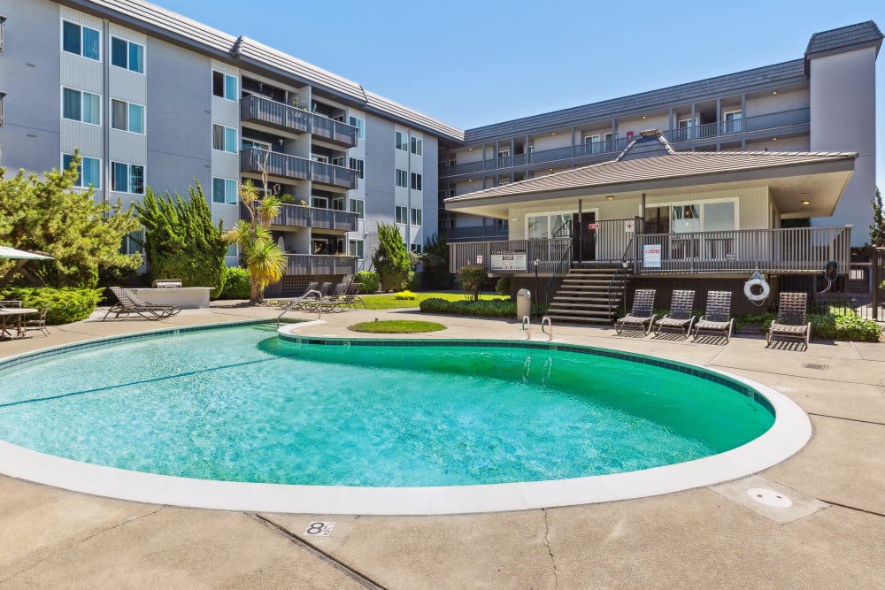 Sparkling Pool at Tower Apartment Homes in Alameda, California