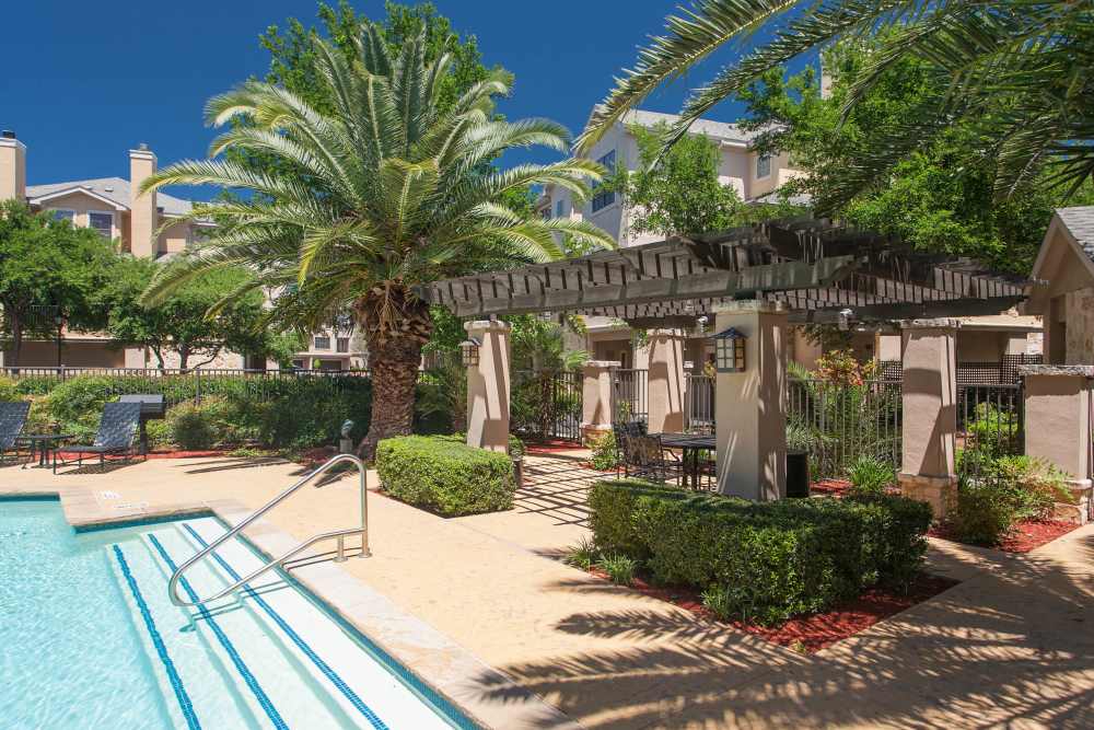 Pool near palm trees at The Quarry Townhomes in San Antonio, Texas
