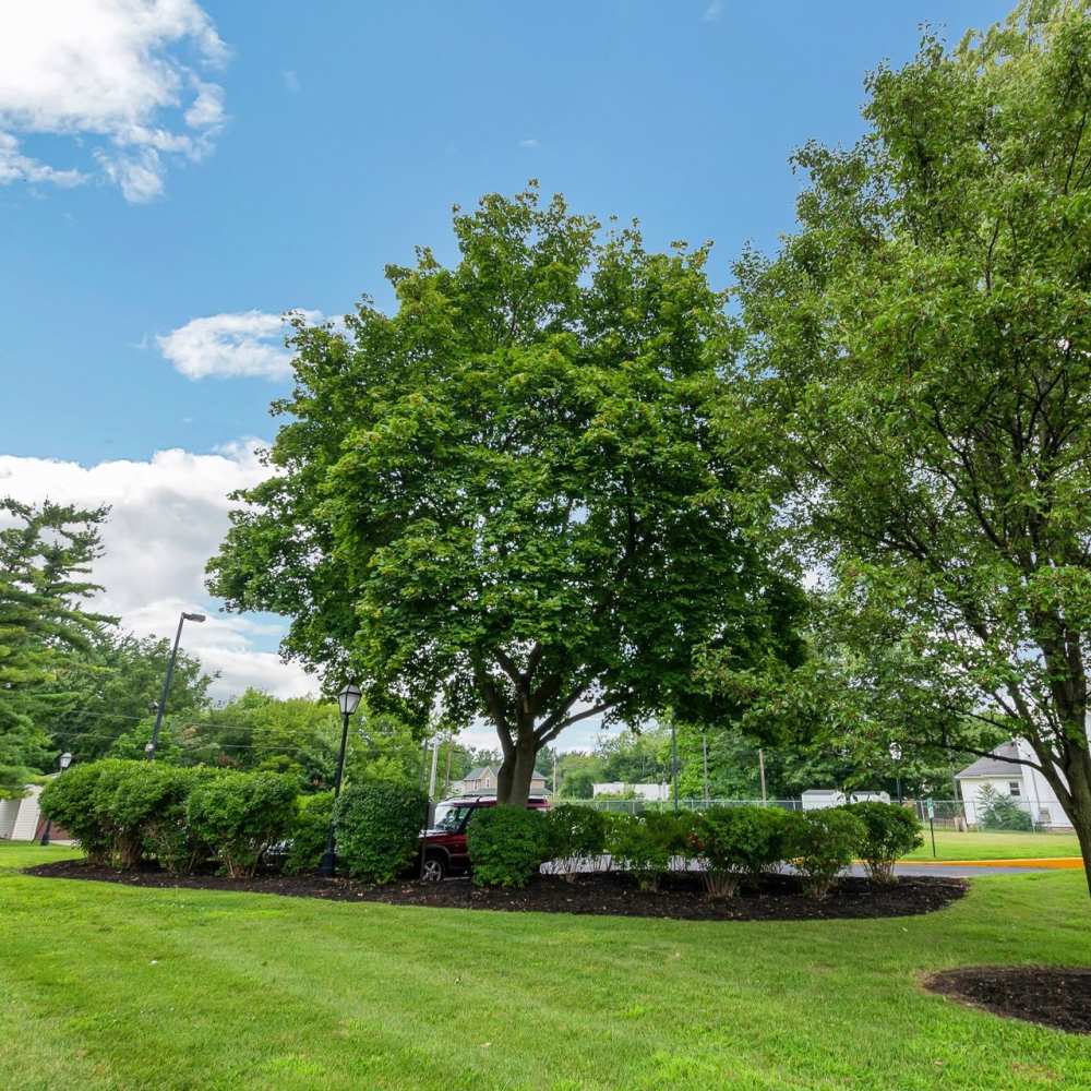 Lush landscaping at Lima Towers in Lima, Ohio