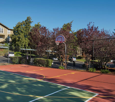 A nice outdoor basket ball court at Sterling Heights Apartment Homes in Benicia, California
