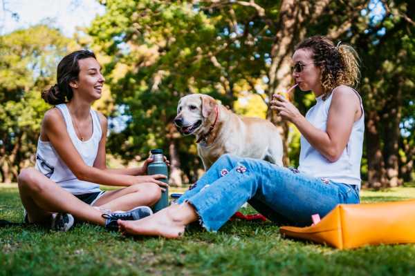Two residents sitting in the grass with a dog near BB Living Desert Ridge in Phoenix, Arizona