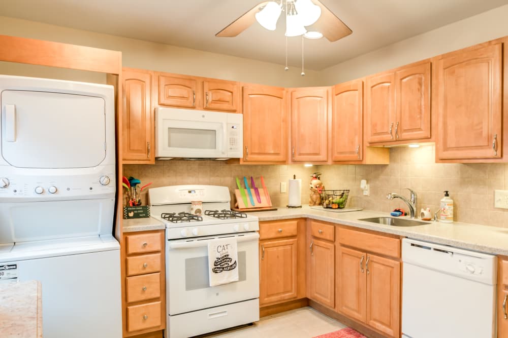 Photos Of Cedar Village In Cedar Grove Nj
