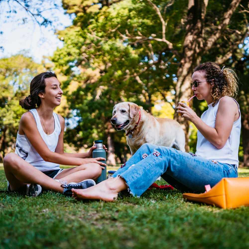 Residents with a dog in a park at Cape Fear Townhomes in Fayetteville, North Carolina