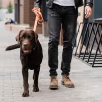 A resident walking his dog near Heritage at Riverstone in Canton, Georgia