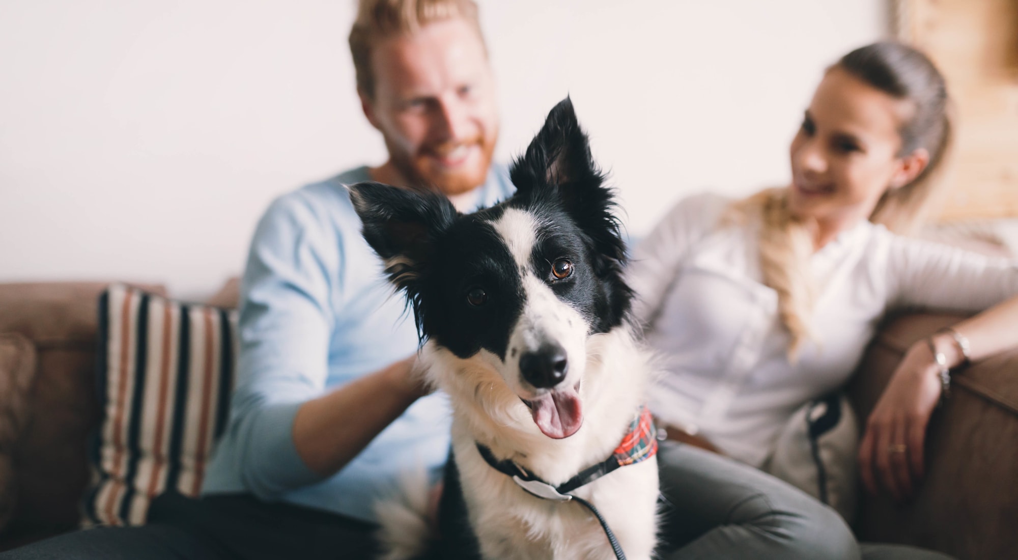 Pet-friendly apartments at The Gates of Deer Grove in Palatine, Illinois