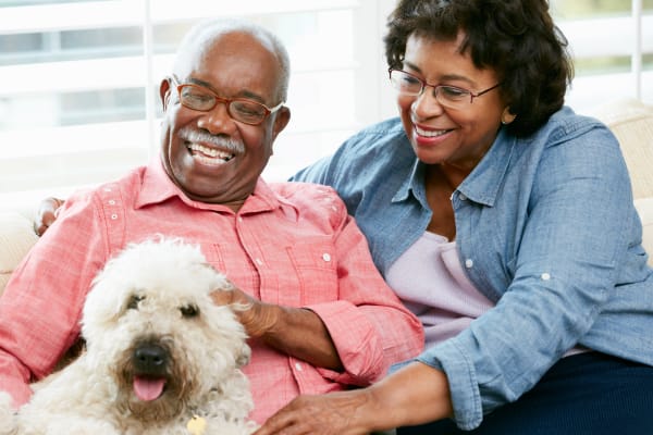 memory care therapy pet at rittenhouse village portage indiana