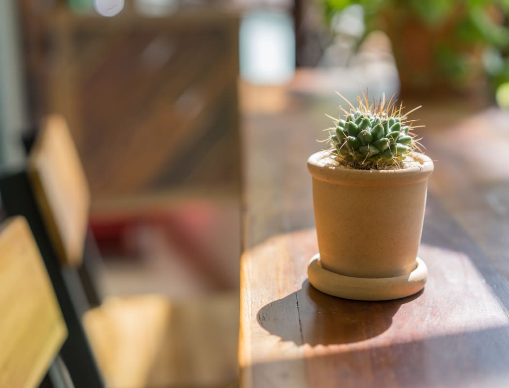 The Glens Apartments' in-home features in San Jose, California