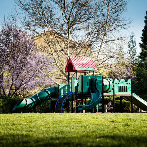 Playground at Meridian at Stanford Ranch in Rocklin, California