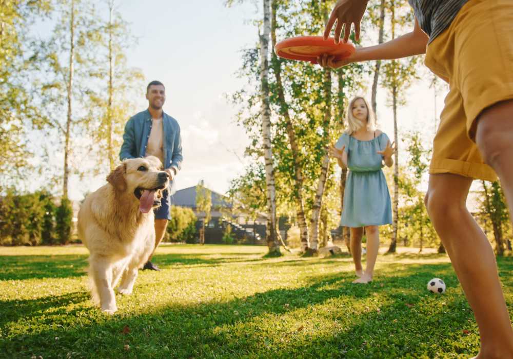 Dog park at Carroll at Cane Ridge Apartments in Antioch, Tennessee