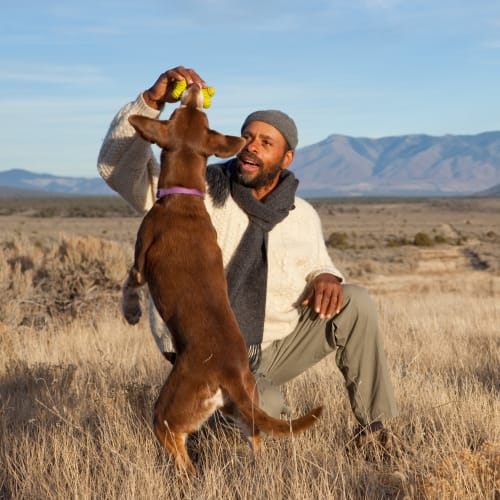 A resident playing with a dog near Capeharts East in San Diego, California