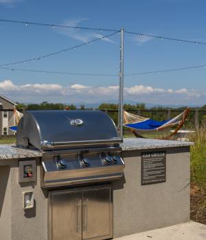 Grill and hammock lounge Murphy's Farm Apartments in Morganton, North Carolina