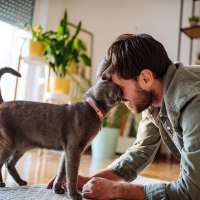 Resident with his cat in a pet-friendly home at Preserve at Lauren's Creek in Aiken, South Carolina