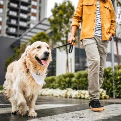 A resident and dog out on a walk near Monaco South in Denver, Colorado