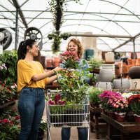 Residents buying flowers at a store near Roosevelt Park Apartments in San Jose, California