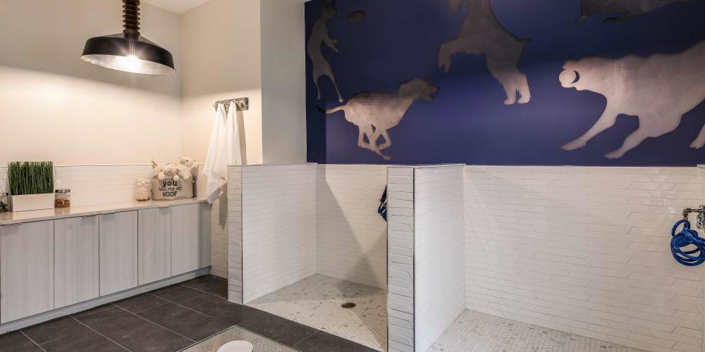 Pet Wash Area at SoBA Apartments in Jacksonville, Florida