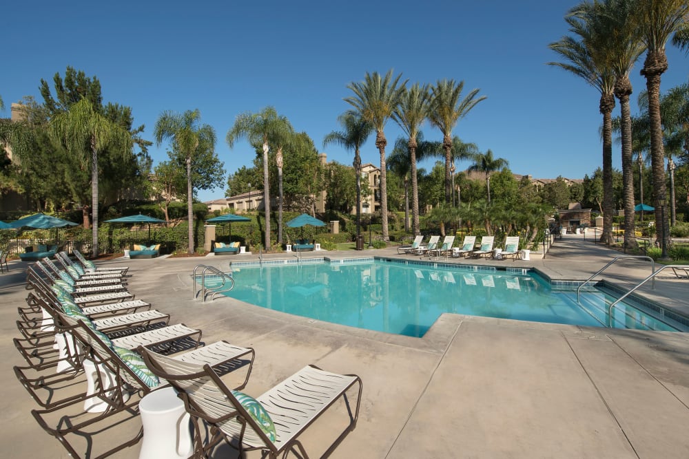 Beautiful swimming pool on a summers day at Esplanade Apartment Homes in Riverside, California