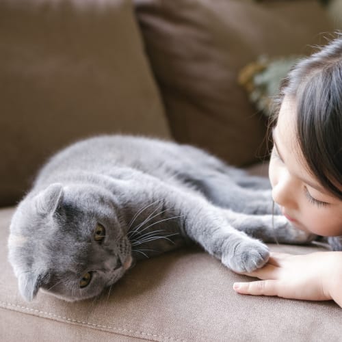 Kid playing with her cat at Riverview Village in Indian Head, Maryland