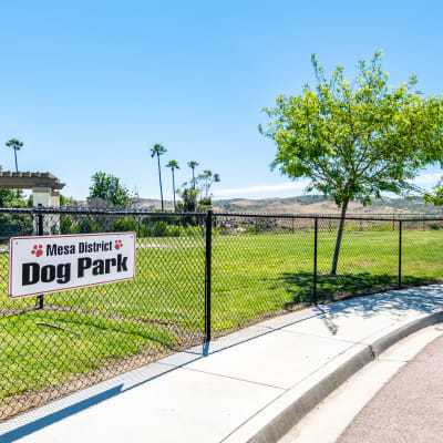 dog park at Serra Mesa in Oceanside, California