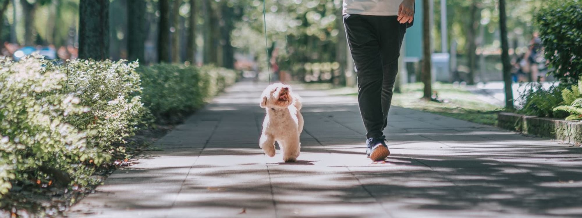 Pet Friendly | Bella Vista in Gastonia, North Carolina