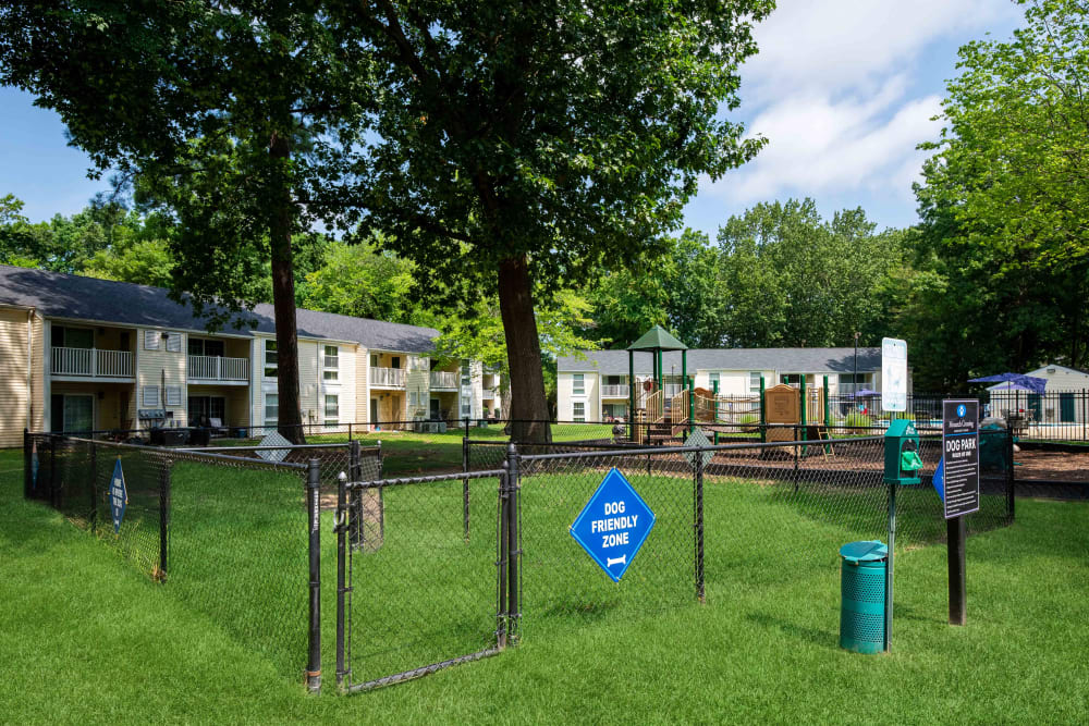 Fenced dog park with grass