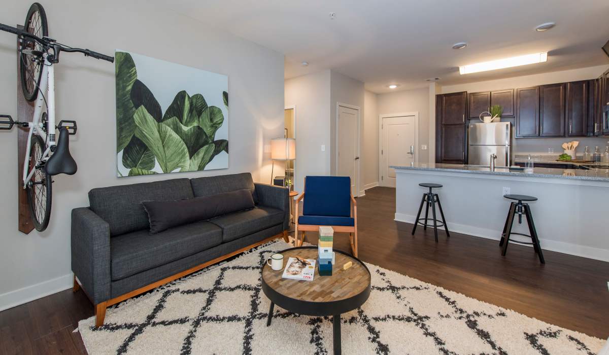 Spacious apartment at Palmer's Creek, Fredericksburg, Virginia