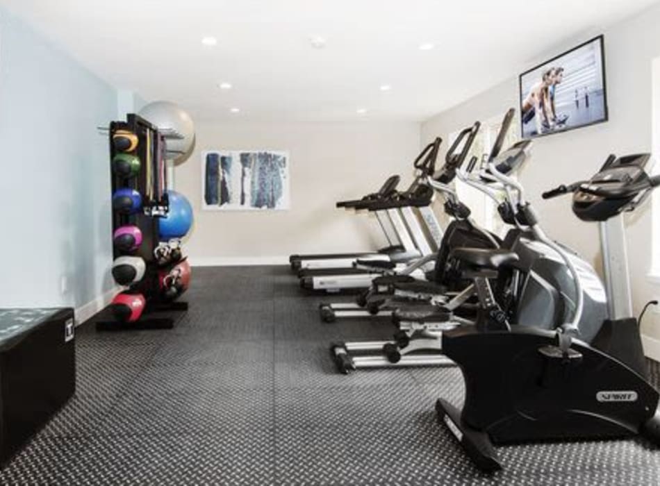 Fitness center with some exercise balls and cardio machines at Sofi Belmar in Lakewood, Colorado