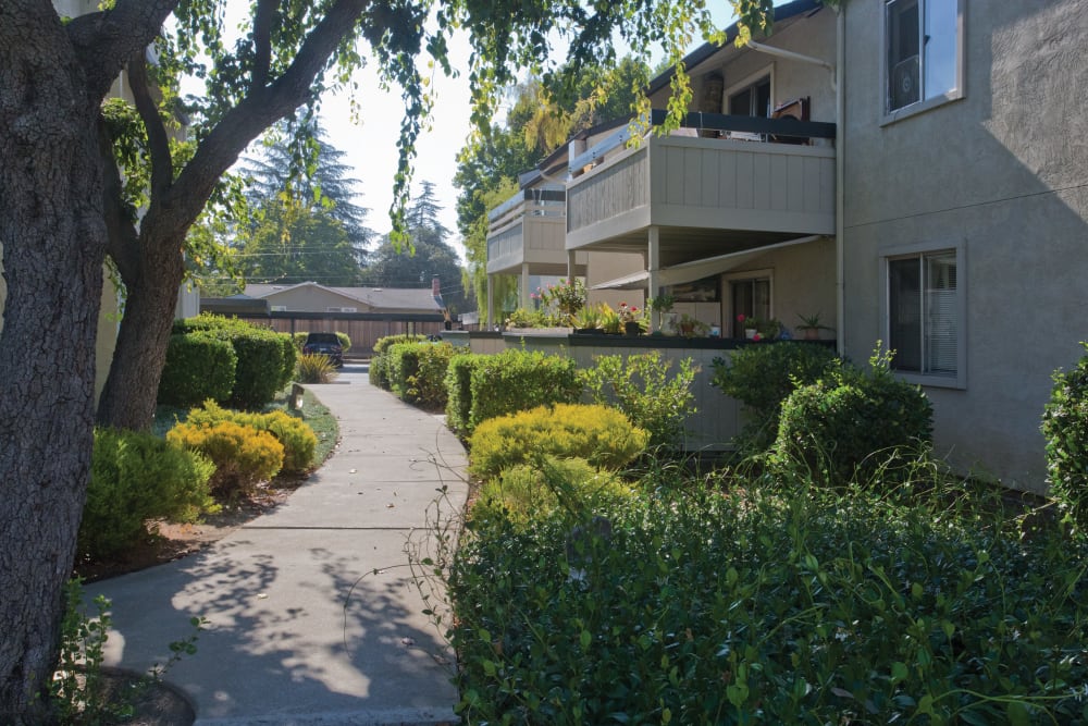 Exterior at Trinity Way in Fremont, California