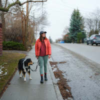 Resident and her pet dog are walking at Timber View Apartments in Grand Haven, Michigan