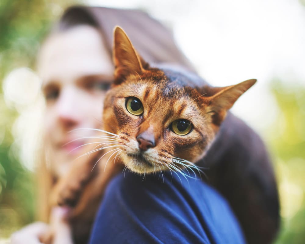 Resident and her cat venturing outside for a bit on a beautiful day at Olympus Fenwick in Savannah, Georgia