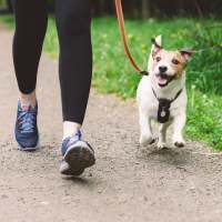 Resident jogging with her pet dog in the park near Madison at Schilling Farms in Collierville, Tennessee