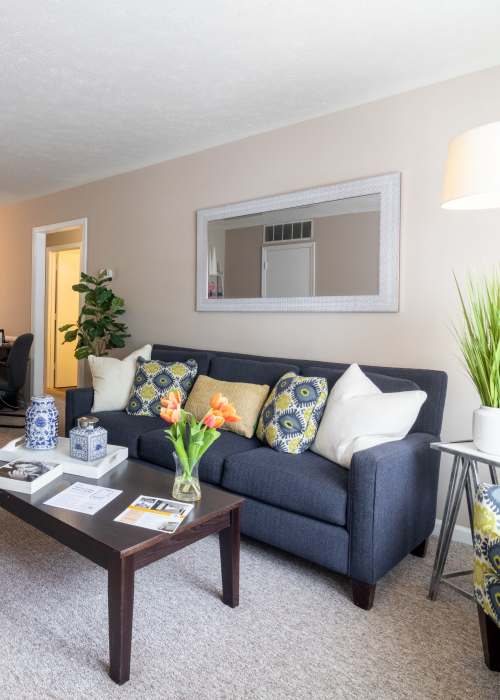 View the Photo Gallery at Berkshire and Barter Court Apartments in Charlottesville, Virginia