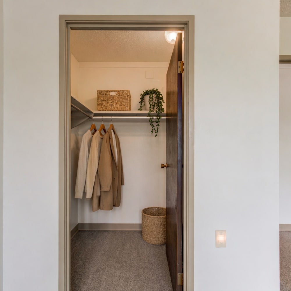 Large closets at Towne Centre Place in Ypsilanti, Michigan
