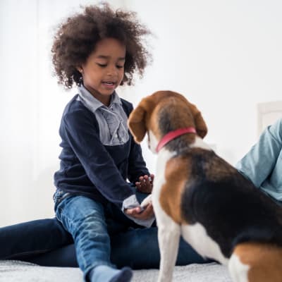 A child playing with a dog at Two Mile in Twentynine Palms, California