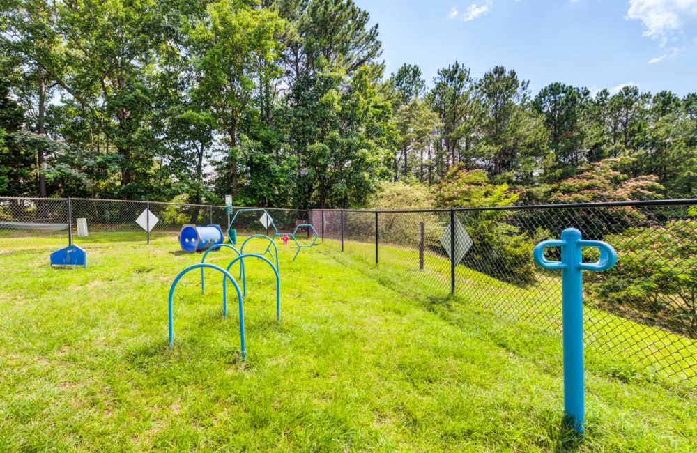 Dog park at Chason Ridge Apartment Homes in Fayetteville, North Carolina