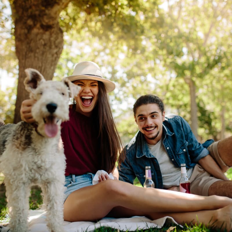 Two residents and their wire fox terrier out for a picnic at Compass at Windmill Lakes in Houston, Texas