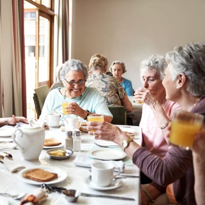 Women dining together at The Sanctuary at West St. Paul in West St. Paul, Minnesota