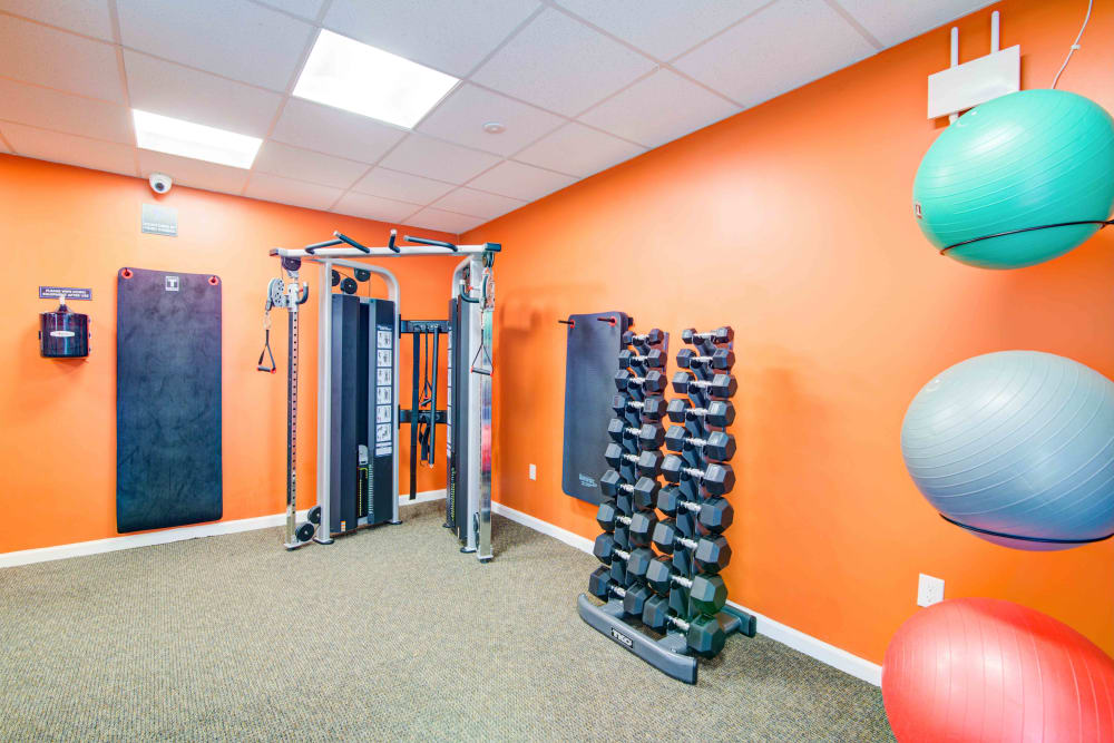 Modern fitness center at Nieuw Amsterdam Apartment Homes in Marlton, NJ