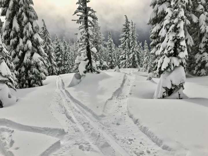 a trail of snowboard in the snow