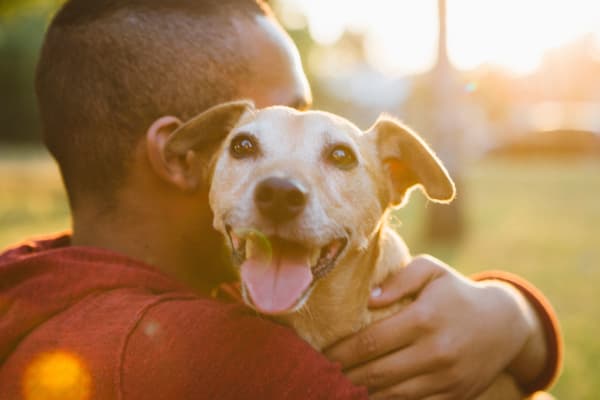 Lantana Apartments is pet friendly!