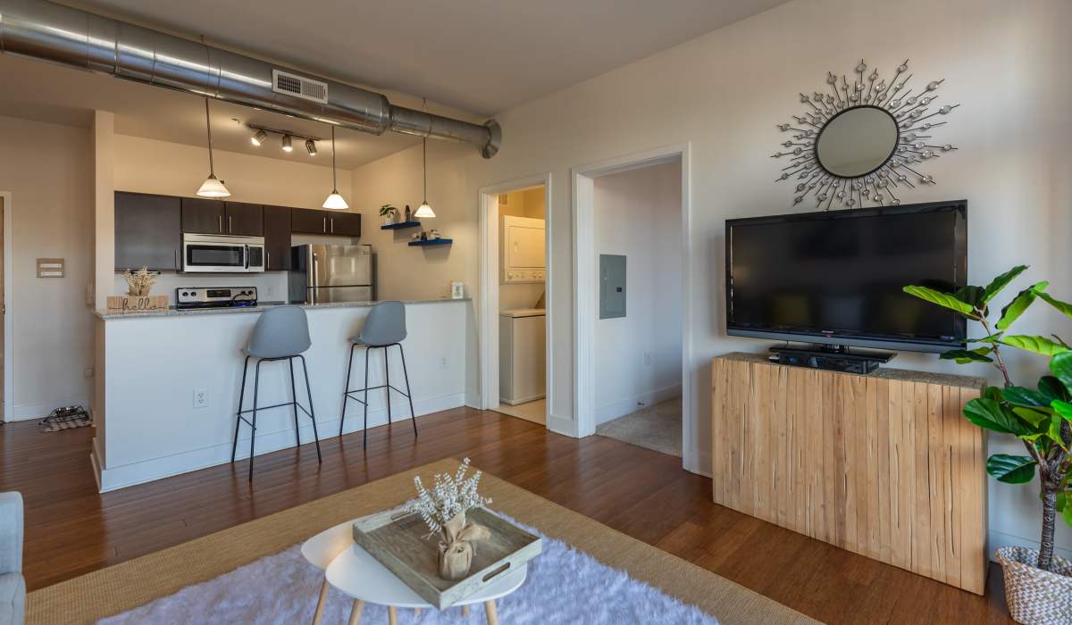 Expansive living room at Cedar Broad, Richmond, Virginia