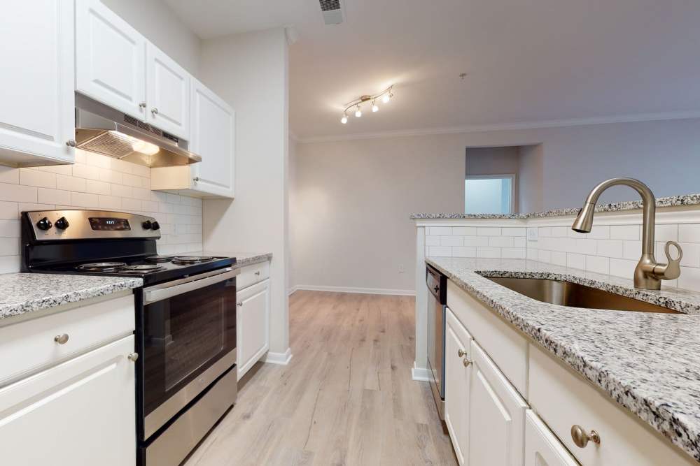 Kitchen with granite counter tops and faucet at Wesley in Raleigh, North Carolina