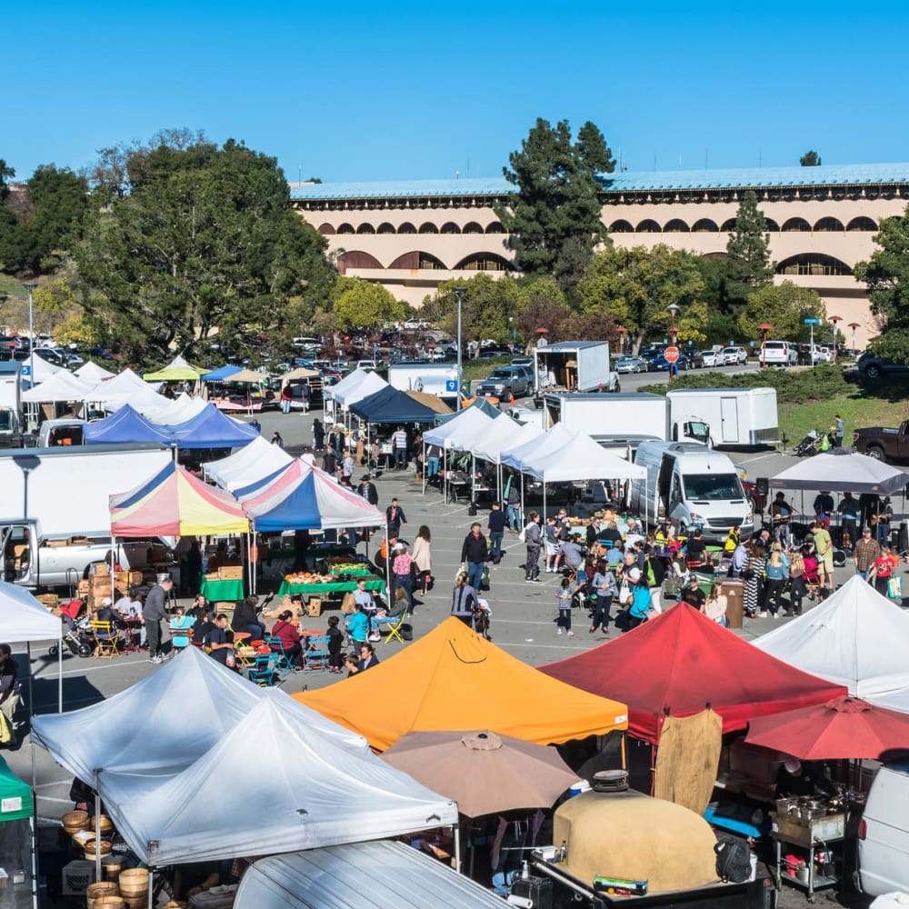 Bustling farmers market near Mission Rock at Marin in San Rafael, California